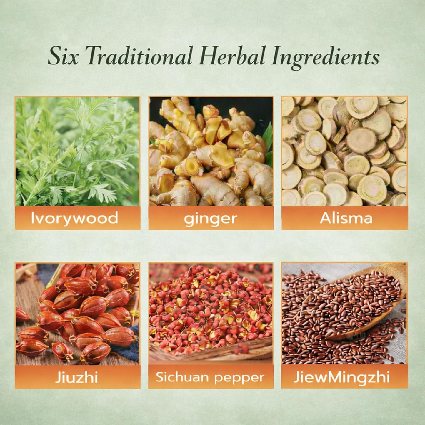 Hnakihy® Herbal Balance Patch — Japanese Kampo Formula