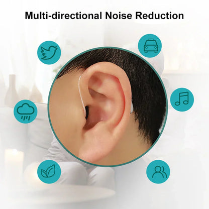 Noise reduction hearing aid