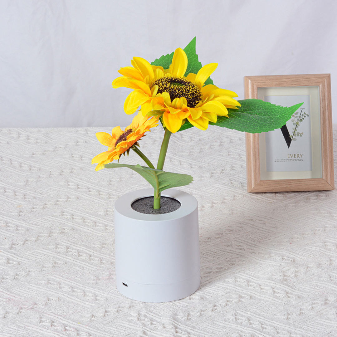 🔥 Kaydenth™ Smart Sound Support – Hear Clearly Again | 60% OFF